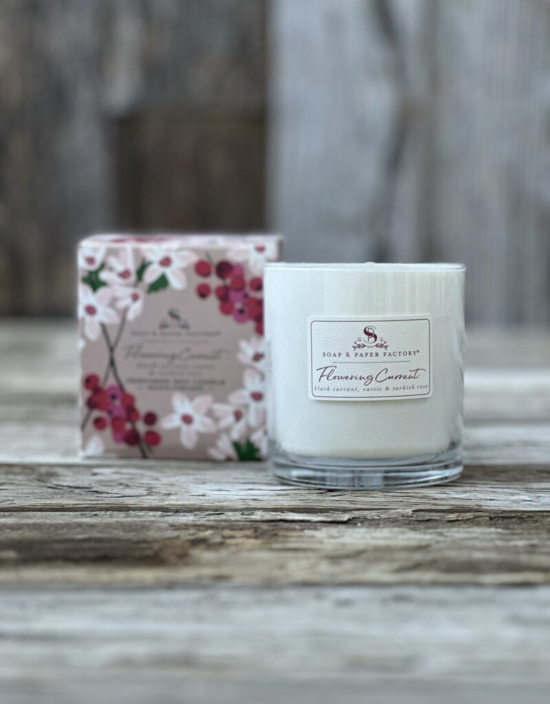 Soap & Paper Factory Flowering Currant 9.5 oz Large Soy Candle