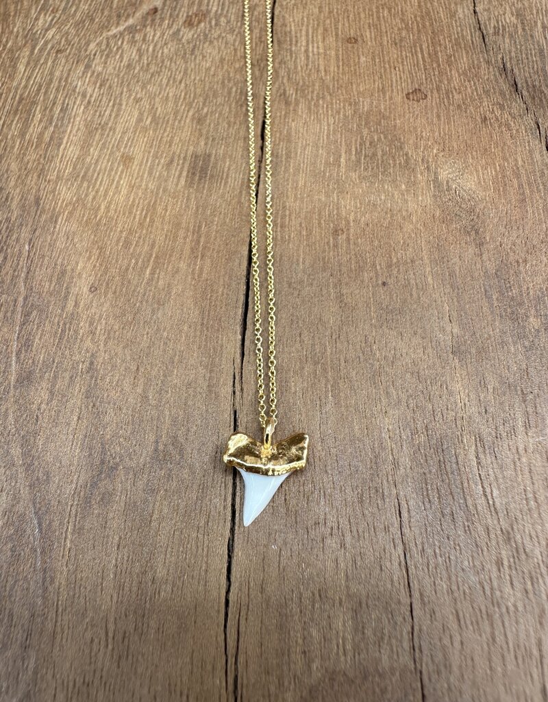 Rise Shark Tooth Necklace N-sha Light #1