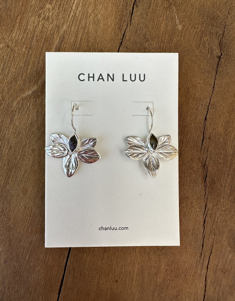 Chan Luu Chan Luu Labradorite Earrings ES-5640 SS