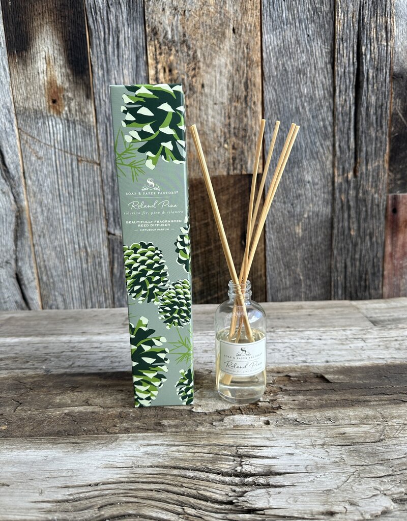 Soap & Paper Factory Roland Pine Reed Diffuser 3.65oz