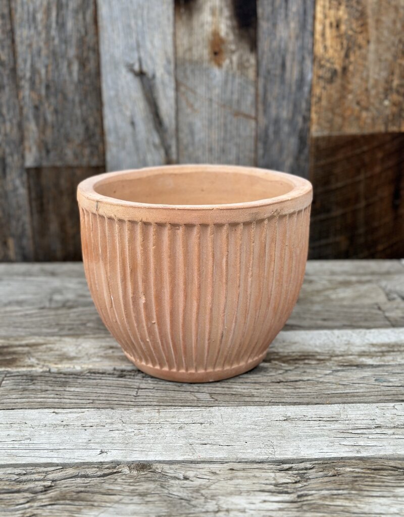 Accent Decor Accent Decor Soto Pot 10.25"x7.75"