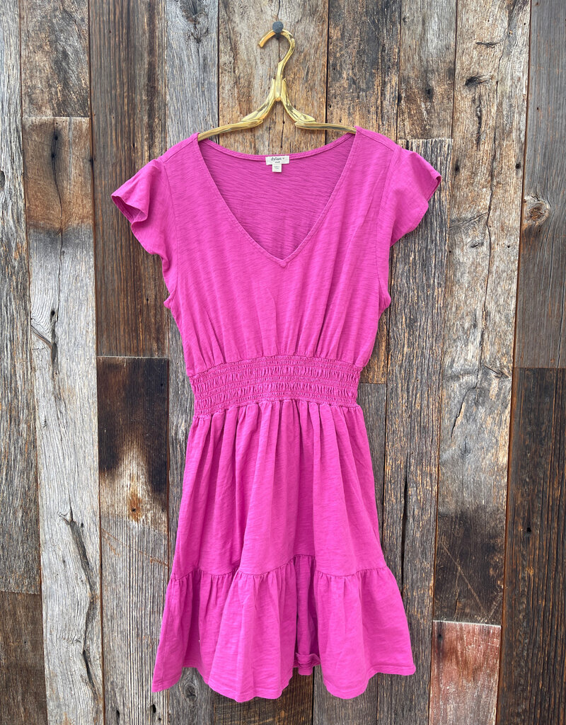 Dylan Dylan Day Dress Bold Berry