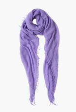 Chan Luu Chan Luu Cashmere and Silk Scarf BRH-SC-140 Purple Paisley