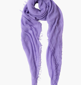 Chan Luu Chan Luu Cashmere and Silk Scarf BRH-SC-140 Purple Paisley