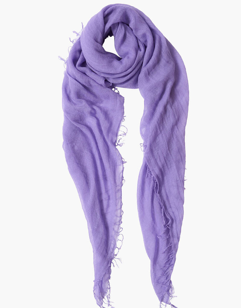 Chan Luu Chan Luu Cashmere and Silk Scarf BRH-SC-140 Purple Paisley