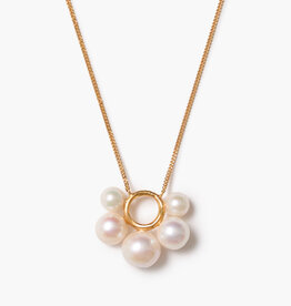 Chan Luu Chan Luu NG-15549