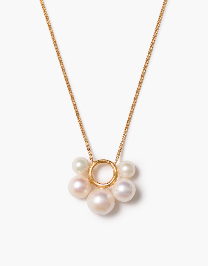 Chan Luu Chan Luu NG-15549