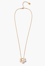 Chan Luu Chan Luu NG-15549