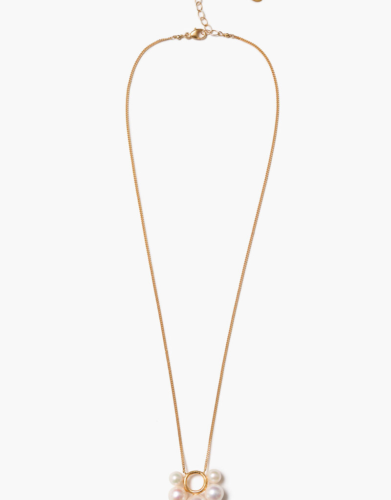 Chan Luu Chan Luu NG-15549