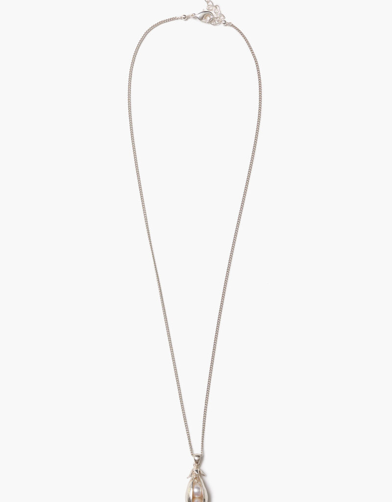 Chan Luu Chan Luu NSZ-15524