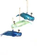 Cody Foster Cody Foster Whale