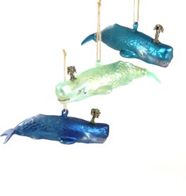 Cody Foster Cody Foster Whale