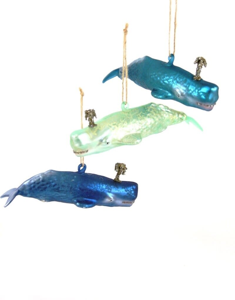 Cody Foster Cody Foster Whale