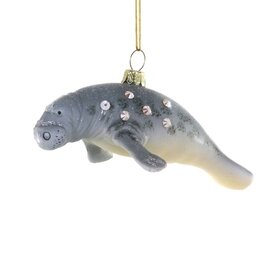 Cody Foster Cody Foster Manatee