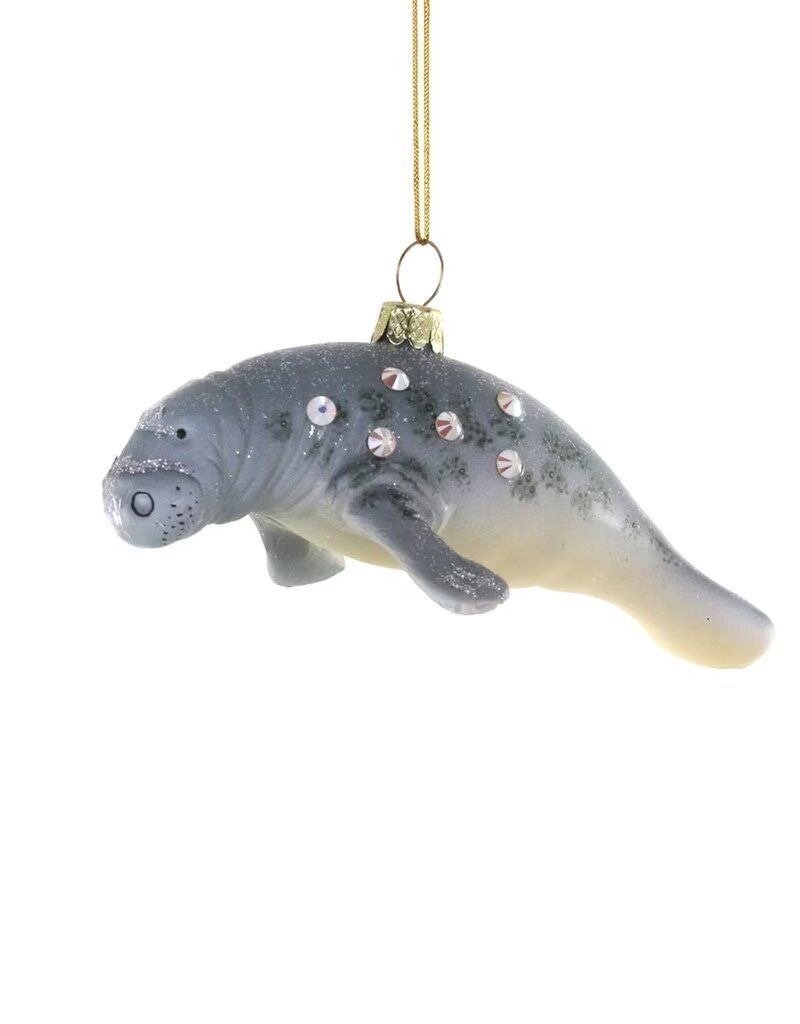 Cody Foster Cody Foster Manatee