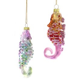 Cody Foster Cody Foster Deep Seas Seahorse