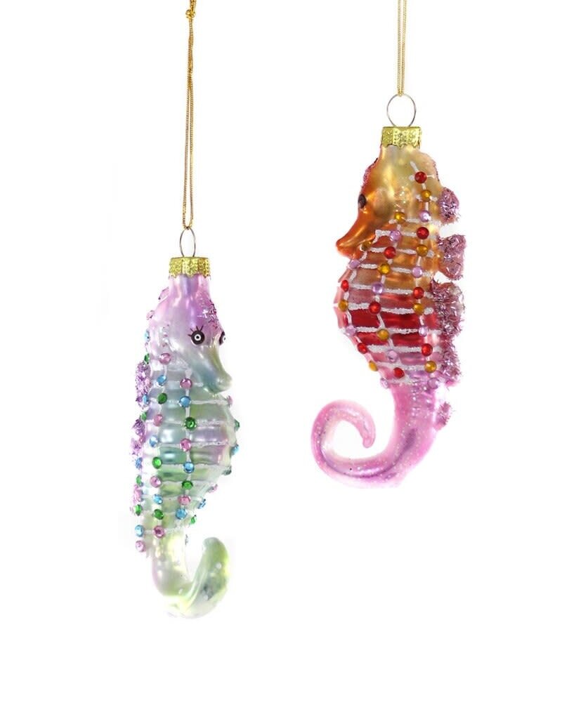 Cody Foster Cody Foster Deep Seas Seahorse