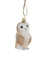 Cody Foster Cody Foster Bashful Owl