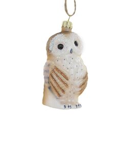 Cody Foster Cody Foster Bashful Owl