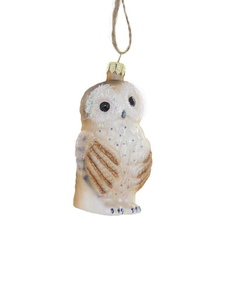 Cody Foster Cody Foster Bashful Owl