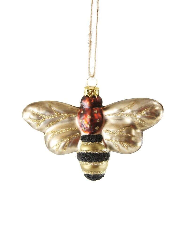 Cody Foster Cody Foster Honey Bee