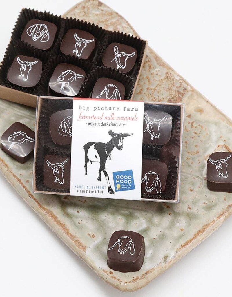 Big Picture Farms Big Picture Farm Chocolate Covered Goat Milk Caramel