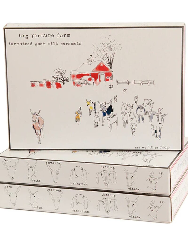 Big Picture Farms Big Picture Farm Storyboard Goat Milk Caramel Gift Box Sea Salt Vanilla