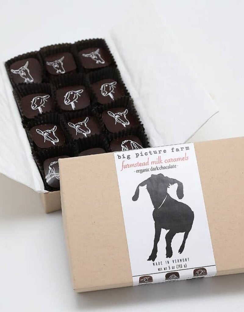 Big Picture Farms Big Picture Farm Chocolate Covered Goat Milk Caramel 12 ct
