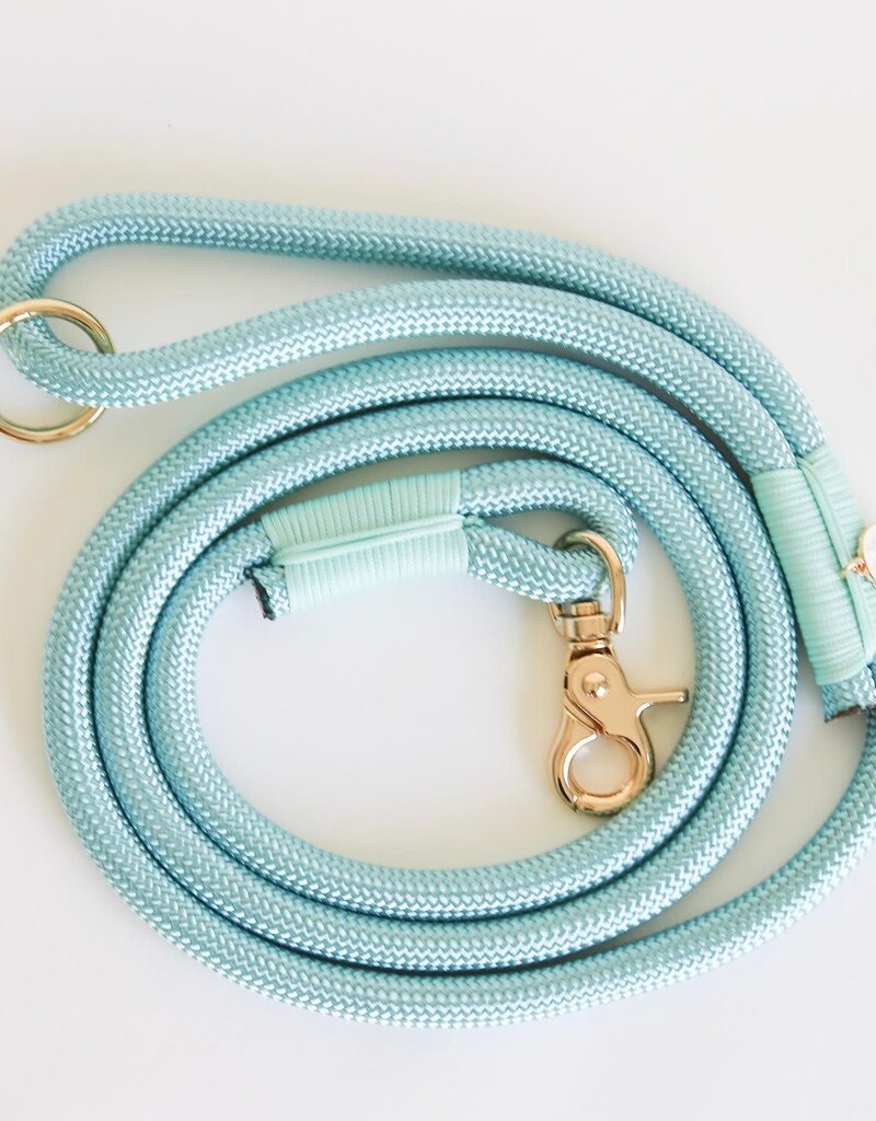 Furlou Furlou Hands Free Leash Aqua