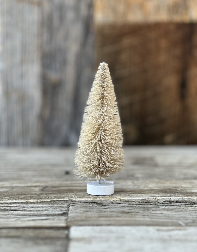 Cody Foster Cody Foster Mini Tree