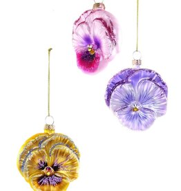 Cody Foster Cody Foster Pansy GO-9575-G