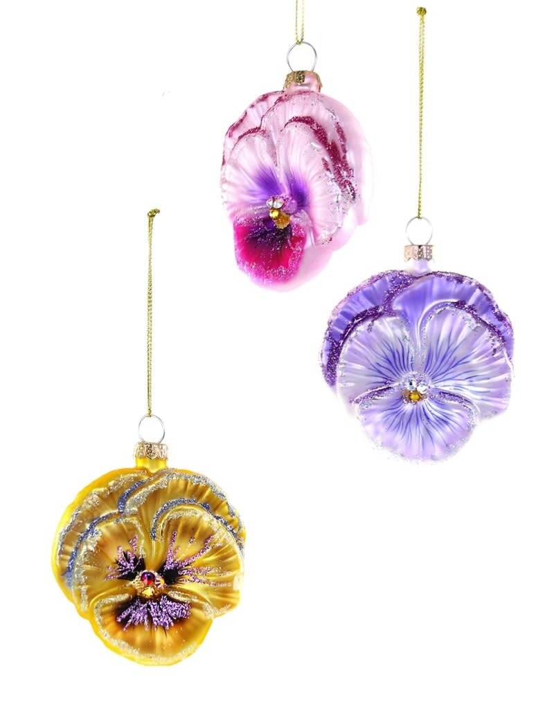 Cody Foster Cody Foster Pansy GO-9575-G