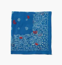 Chan Luu Chan Luu DF-SC-195