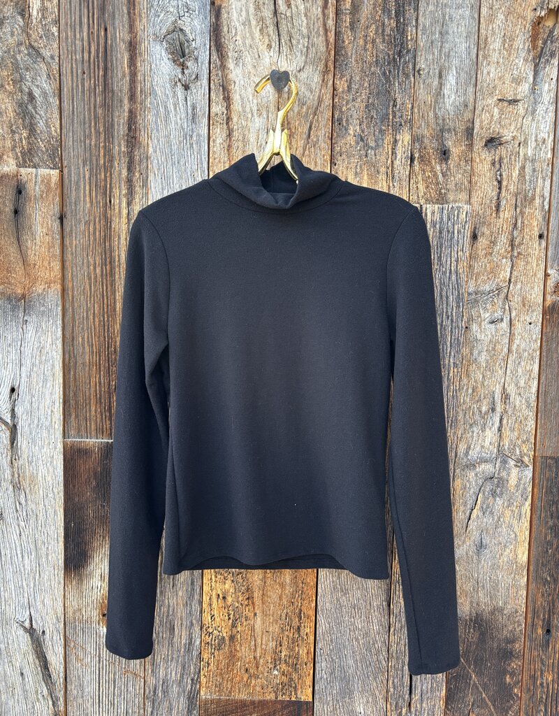 Perfect White Tee Dana Brushed Sweater Turtleneck