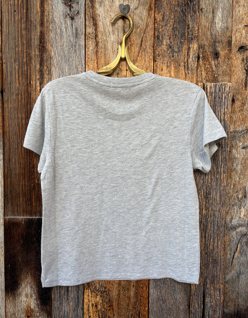 Z Supply Z Supply Tourist Tee Heather