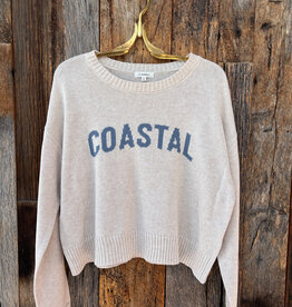 Z Supply Z Supply Sienna Coastal Sweater