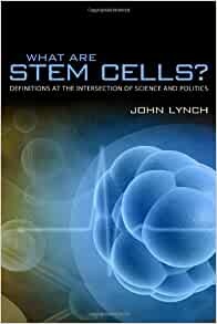 What are Stem Cells