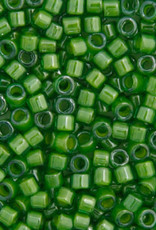 Miyuki Delica Sead Bead Program Delica Program 11/0 Rd Green Lime Lined-Dyed 0274V