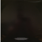 Animal Collective --  Merriweather Post Pavilion LP