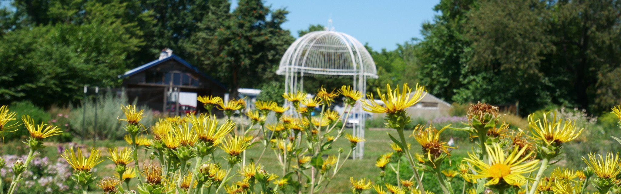 Faerie Garden @ Mari-Mann Herb Farm