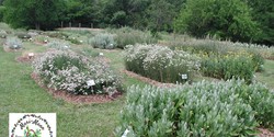 MARI-MANN HERB FARM