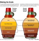 NOW FOODS MAPLE SYRUP, GRADE A MEDIUM AMBER, ORGANIC 32 OZ (dimx3) -S ++