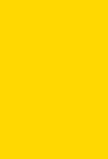 Golden Acrylic Paint HB Series 2 Primary Yellow