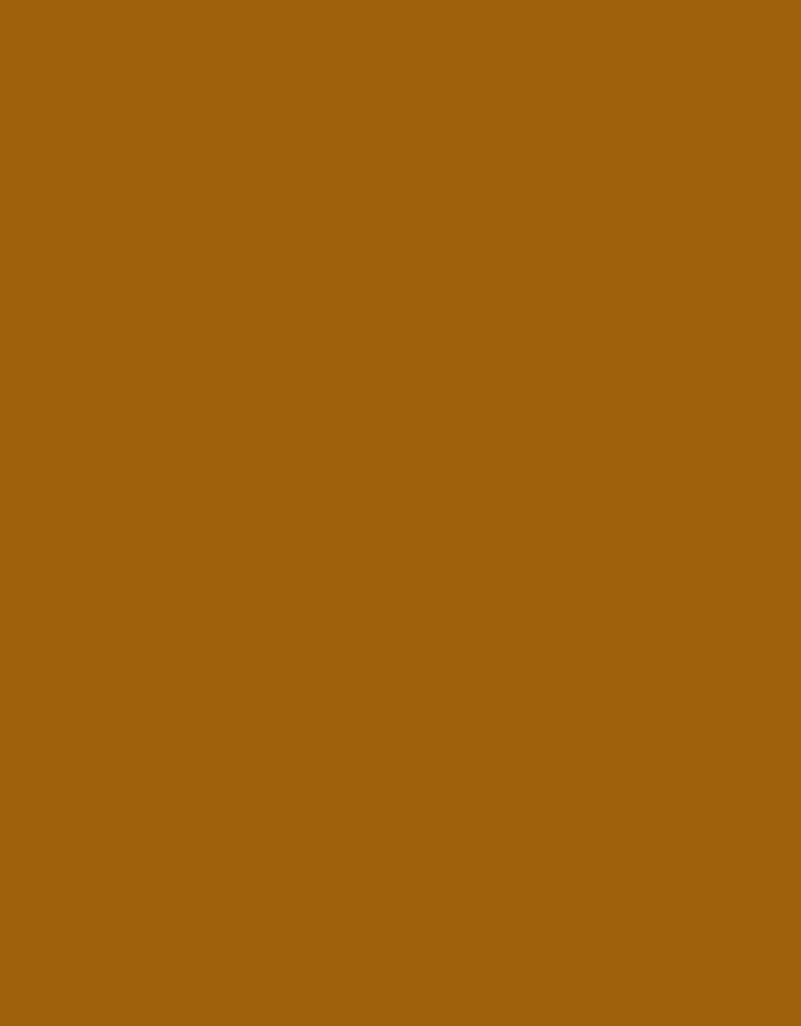 Golden Fluid Acrylics Series 1 Raw Sienna 4oz