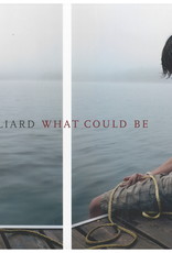 What Could Be / David Hilliard