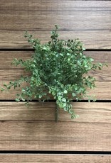 Tri W Greenery-Baby Tears Bush 13"