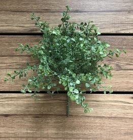 Tri W Greenery-Baby Tears Bush 13"