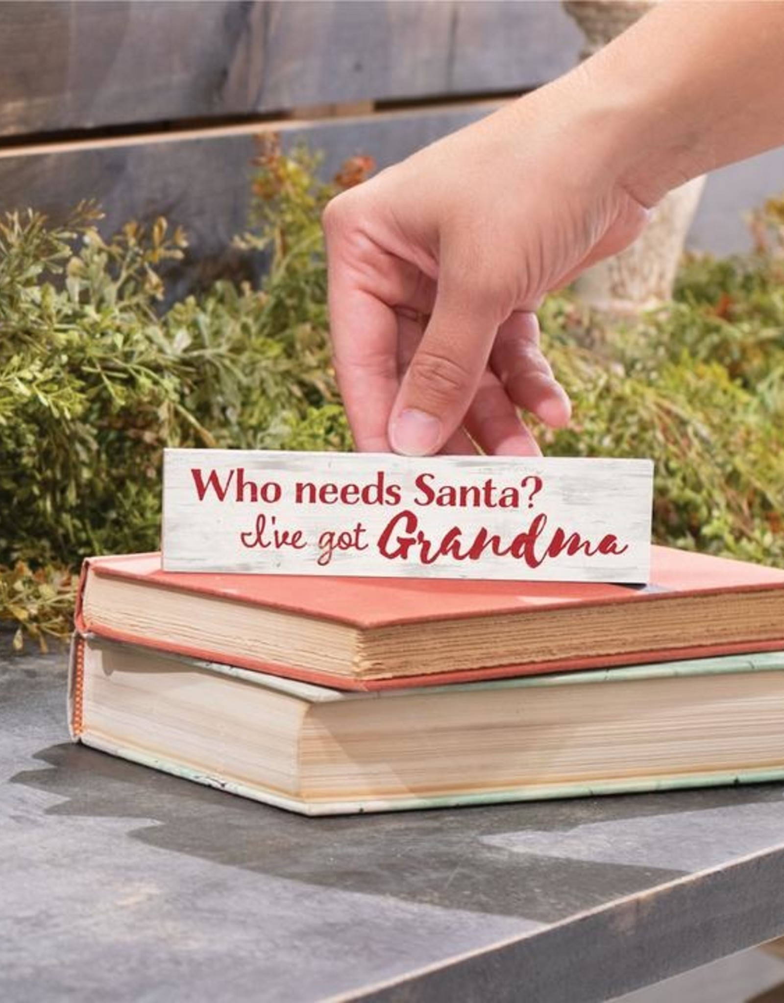Small Sign-Who Needs Santa