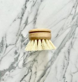 Essence of Life Organics Compostable Dish Brush Head Replacement