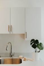 Zero Waste MVT Solid Dish Bar-Bergamot & Lime